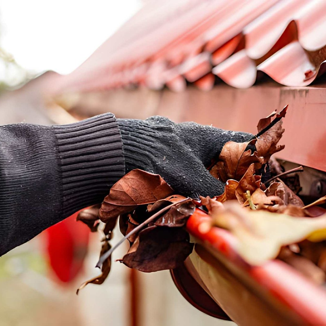 Roof Cleaning fitness 09-1080